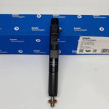 Inyector Delphi Renault Kangoo - Inyector Delphi Renault Kangoo - Vargas Diesel - Calama